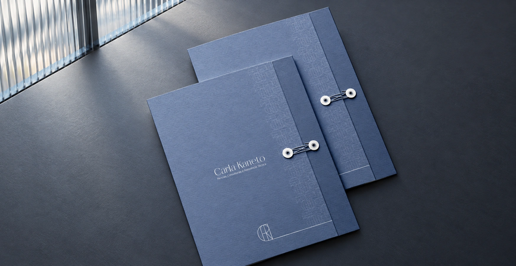 Pastas de apresentação Carla Kaneto.